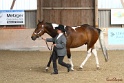 22-APHA HOTC_106